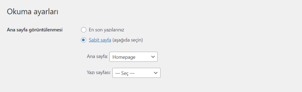 WordPress statik veya blog (Dinamik) seçim ayarı